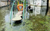 Bơm hút nước hồ Tứ Liên để chống ngập khu dân cư sau trận mưa lịch sử