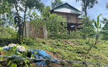 Chủ tịch Bình Định: Giao thanh tra vào cuộc vụ vợ chánh án huyện dựng nhà sàn trên đất rừng phòng hộ