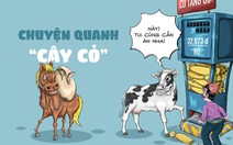 Chuyện quanh 'cây cỏ' thời bão giá