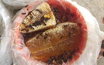 Đi 'ăn ong' cùng cha ở U Minh Hạ