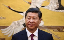 Ông Tập Cận Bình: Trung Quốc gặt hái được những thắng lợi tốt nhất thế giới về chống COVID-19