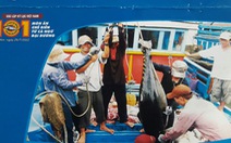 ‘101 món ăn từ cá ngừ đại dương’ chuẩn bị xác lập kỷ lục Việt Nam