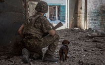 Ukraine nhận mất 9.000 quân nhưng nói Nga thiệt hại gấp 5 lần