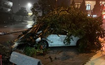 Quảng Ninh, Hải Phòng mưa rất lớn, cây gãy đổ, khuyến cáo người dân không ra đường