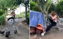 Cô gái đi xe đạp mất phanh lao dốc tông vào gốc cây