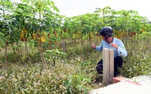 Muốn tách thửa đất nông nghiệp ở nông thôn Đồng Nai phải ít nhất 2.000m2