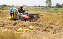 Chấn chỉnh ngay tình trạng cây xăng không bán hàng cho nông dân thu hoạch lúa