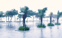 Trực tiếp: Đà Nẵng, Quảng Nam, Quảng Ngãi bắt đầu có sóng lớn, bão Noru hướng vào miền Trung