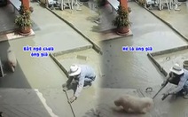 Thợ xây bất lực với chú chó chạy qua chạy lại trên nền sân bê tông vừa đổ