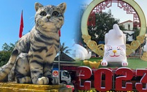 Quảng Trị chiếm ngôi 'hoa hậu linh vật mèo', Quảng Ngãi có 'mèo tập yoga'