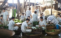 Gói bánh chưng đón Tết trong trại giam Yên Hạ