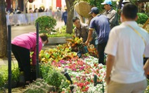 Đường hoa Nguyễn Huệ được dọn trong đêm, hoa còn đẹp đưa về các công viên