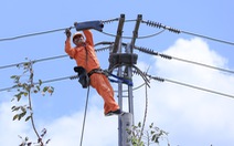 Điện lực miền Nam: Dòng điện 'chạy an toàn, đầy đủ trong dịp Tết Nguyên đán