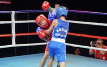 28 võ sĩ tranh Cúp boxing Ngôi sao Gia Định mở rộng 2023