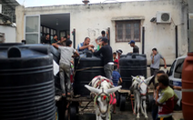 Người đàn ông và chú lừa kéo xe đi phân phát nước ở Dải Gaza