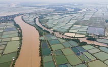 Sông Sa Lung 'chết' vì ô nhiễm