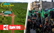 Điểm tin 8h: Diện tích trồng sầu riêng Tây Nguyên tăng quá nhanh; Hamas kiếm tiền từ đâu?