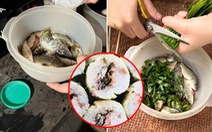 Hoang mang với bánh chưng nhân cá của cô gái Tuyên Quang