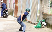 Chó thả rông: Dân bất bình, chính quyền địa phương bất lực