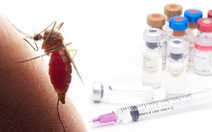 Vắc xin sốt xuất huyết: Con đường chông gai