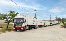Chuyên biệt hoạt động logistics phục vụ xuất khẩu nông sản