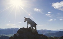 Chú chó trung thành canh giữ xác chủ gần 2 tháng trên núi
