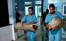 Bệnh viện Tâm thần Đà Nẵng dột nước được lợp bạt mới, làm máng xối