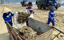 Dự án xử lý rác 650 tấn/ngày ở Đà Nẵng điều chỉnh đến 3 lần vẫn chưa xong?