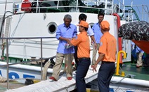 Đưa 14 ngư dân Bình Định gặp nạn ngoài biển về Vũng Tàu an toàn