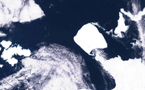 Tảng băng trôi lớn nhất thế giới dịch chuyển sau 37 năm