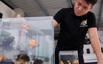 Cuộc thi Lan tỏa năng lượng tích cực 2023: Thú vị chuyện khởi nghiệp từ cá vàng