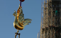Những điều kỳ thú trên tượng gà trống vàng mới của nhà thờ Đức Bà Paris