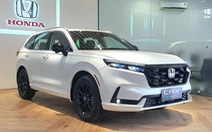 Loạt xe hybrid ra mắt Việt Nam năm 2023: Không có giá dưới 700 triệu đồng