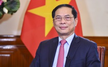 Bộ trưởng Bùi Thanh Sơn nói về một năm ngoại giao sôi động của Việt Nam
