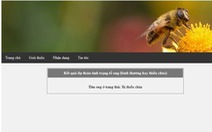 Nghiên cứu nền tảng xây dựng API và ứng dụng cảnh báo tình trạng thiếu ong chúa