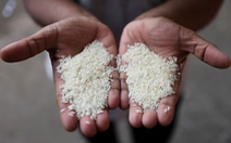 Lãnh đạo Hiệp hội các nhà xuất khẩu gạo Thái nói bán tốt nhờ... Việt Nam
