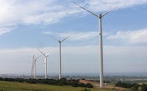 Agribank xiết nợ nhà máy điện gió 1.200 tỉ đồng ở Bình Thuận