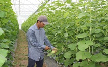 Đồng Nai đột phá trong phát triển nông nghiệp hữu cơ