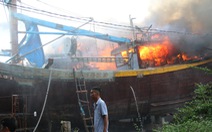 Vụ cháy 11 tàu cá ở Phan Thiết: UBND tỉnh chỉ đạo sớm khắc phục hậu quả, làm rõ nguyên nhân cháy