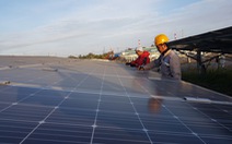 Nóng: Thu hồi văn bản đề xuất EVN hạ giá mua điện tái tạo đã hòa lưới