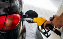 Nghị viện châu Âu thông qua luật cấm bán ô tô chạy bằng xăng và dầu diesel