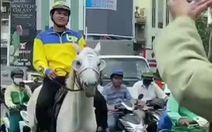 Vụ cưỡi ngựa dạo phố ở TP.HCM: Phạt 160.000 đồng có đủ răn đe?