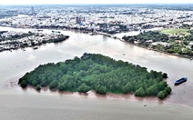 Cồn bãi sông Mekong - Kỳ 3: Cồn 'kim cương' bên bến Ninh Kiều