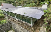 Nghịch lý thiếu điện lưới nhưng điện mặt trời bỏ không ở Côn Đảo