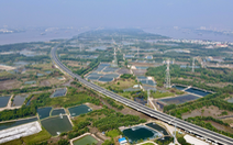 Cao tốc Bến Lức - Long Thành: 'Đại dự án lãng phí'