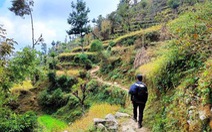 Nepal cấm du khách trekking một mình