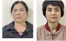 Khởi tố bốn người liên quan vụ án tại Công ty Công viên cây xanh Hà Nội