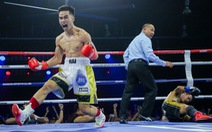 Trương Đình Hoàng, Nguyễn Ngọc Hải giành đai vô địch WBA