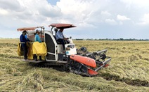 'Nông dân trồng lúa lời 100%': Nhiều bạn đọc nói 'báo cáo láo'