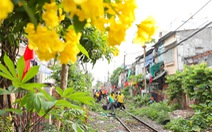 Quận Phú Nhuận hoàn thành đường hoa dọc tuyến đường sắt